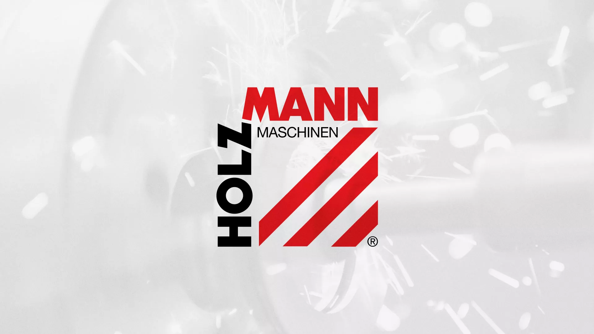 Создание сайта компании «HOLZMANN Maschinen GmbH» в Бородино